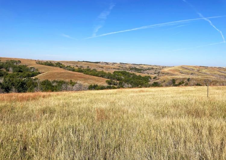 644 Acres, Lincoln County &#8211; Lincoln County Pasture
