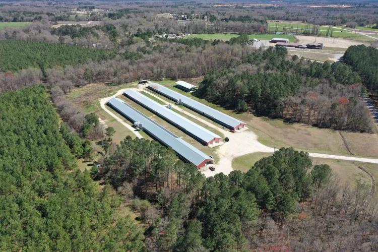 Providence Breeder Farm – Three House Farm near Pageland, SC