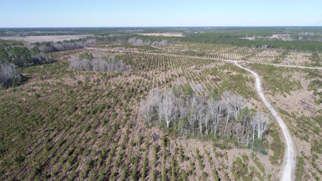 243.80 Acres at 5100 Flowers Branch Road