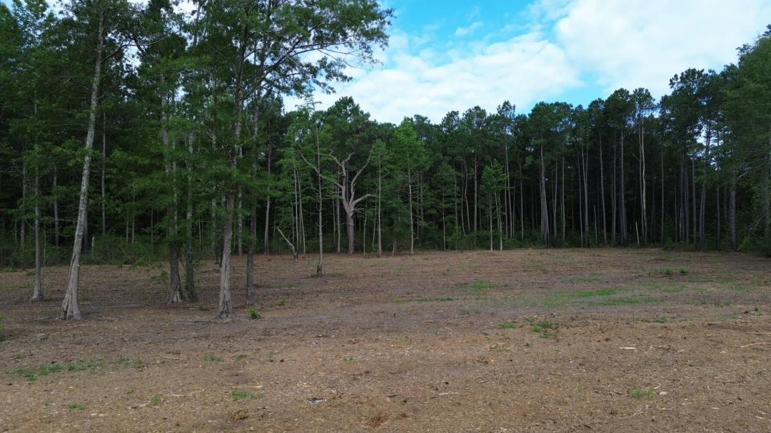 9.41 Acres at 2 Trojan Rd