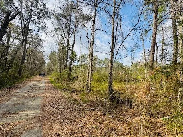 40 Acres located on Fortenberry DR and Mt. Carmel Church Road in Columbia, MS