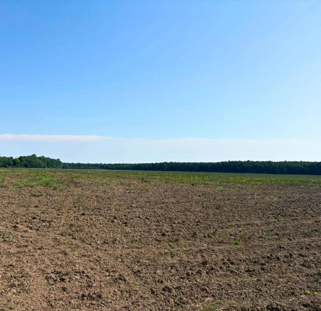120 Acres in Sharkey County in Anguilla, MS