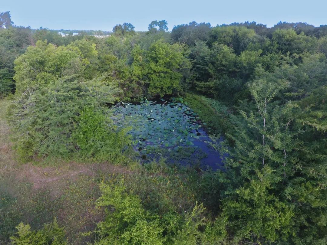 54 Acres Near Lone Oak, TX