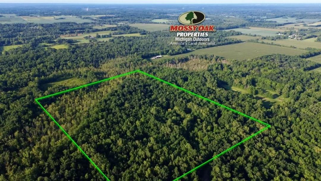 40 +/- Acres / Van Buren County, MI / Recreational, Hunting, Buildable Land / Land For Sale