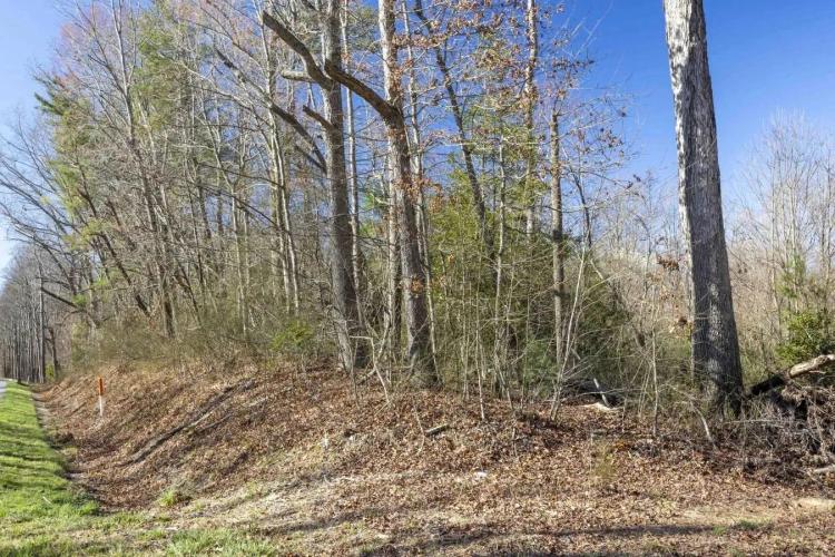 Custom Estate or Potential Development