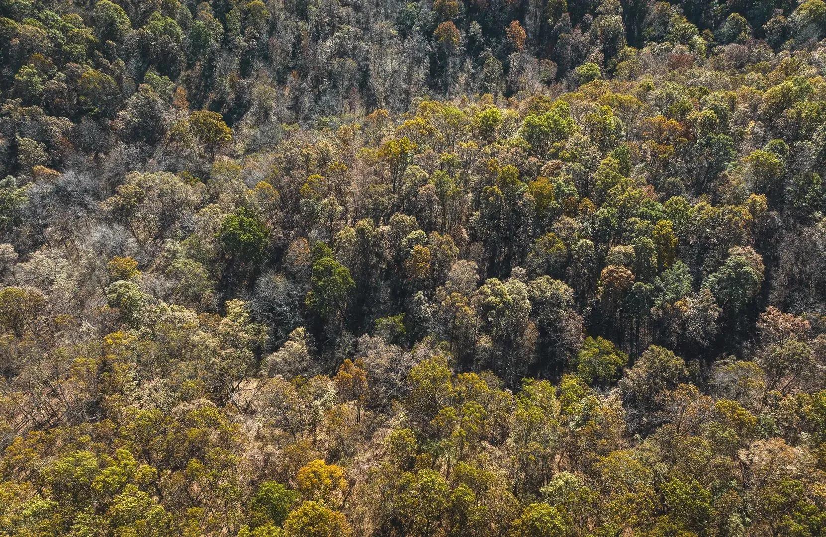 38935830-6