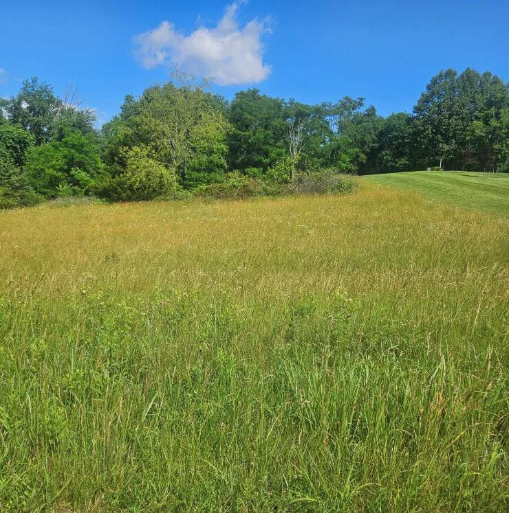 0.50 Acres at 0 Pear Blossom Lane