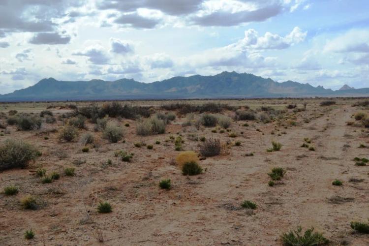 Sunny Southern New Mexico 2 adjoining lots *  Mobiles modulars site builds allowed