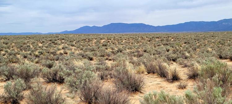 Easy Hwy 60 Access * 40 Miles South of Albuquerque * 2 Lots with No Restrictions