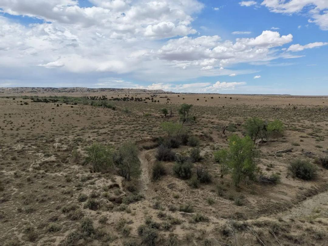 40 Acres Las Animas County