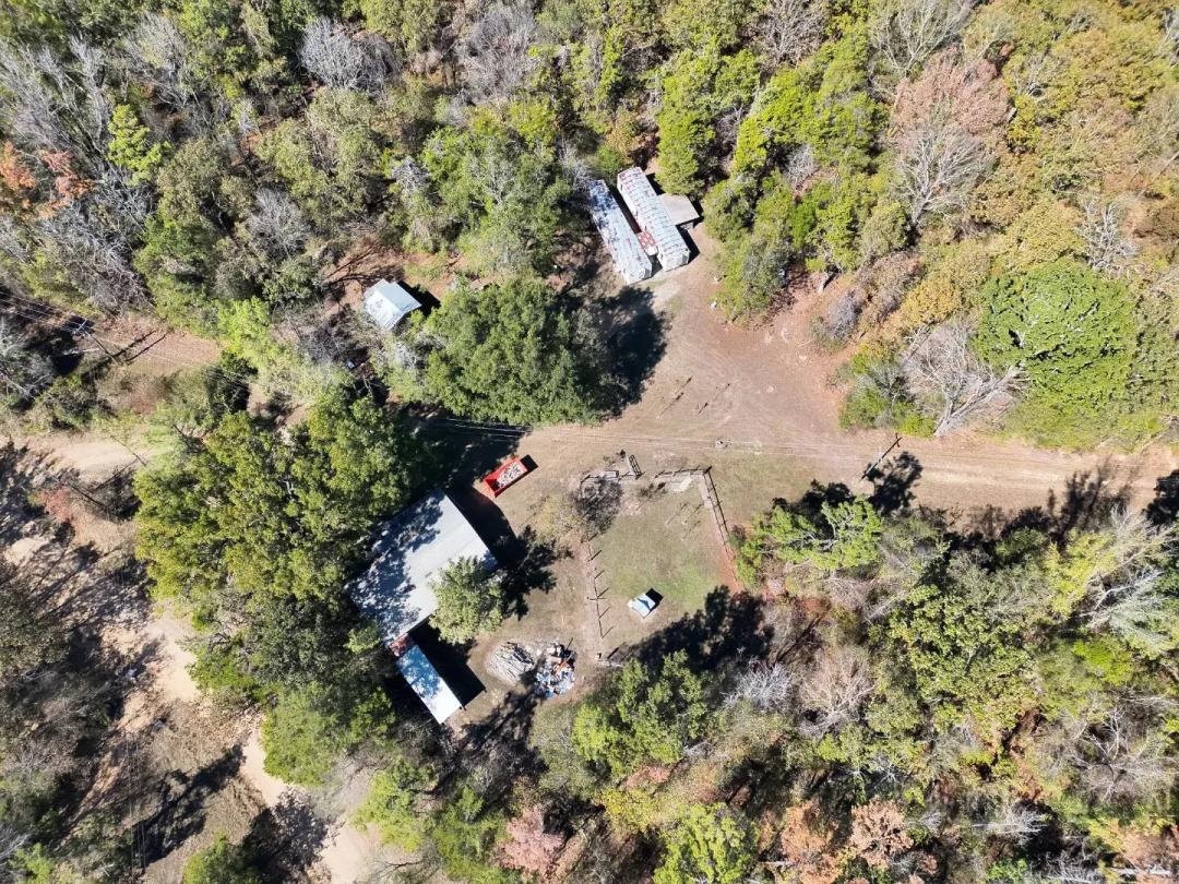 59.97 Acres with 2 Camps in Carroll County, MS 