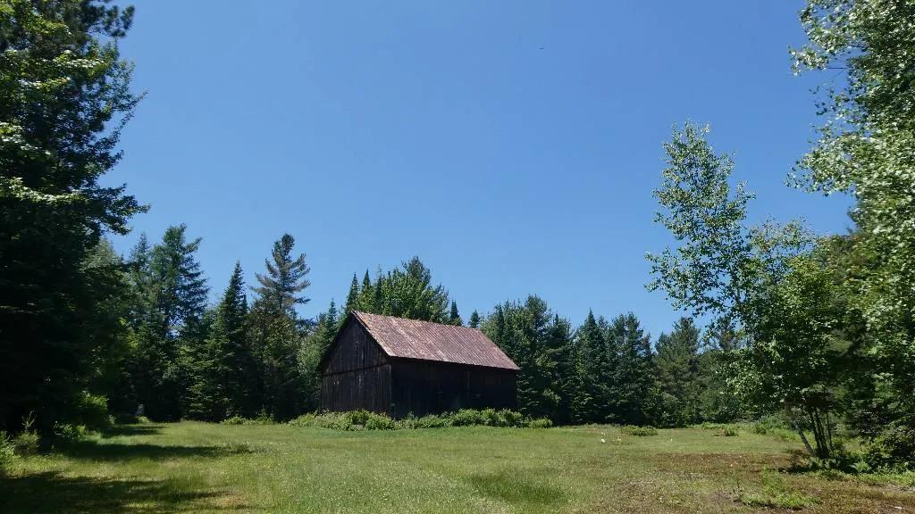 50.00 Acres at 217 Tyler Road