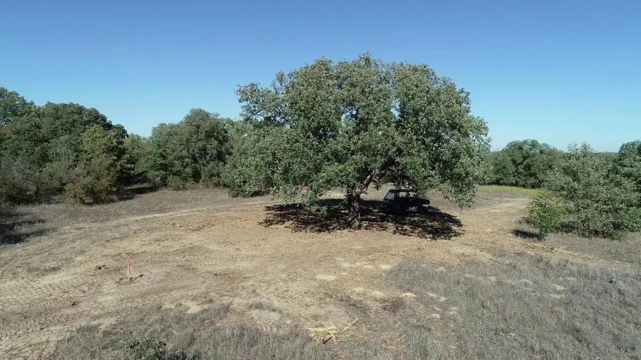 39087627-14