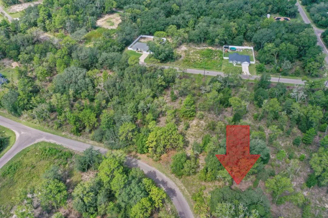 0024 GUAVA PASS DR, OCKLAWAHA, FL 32179