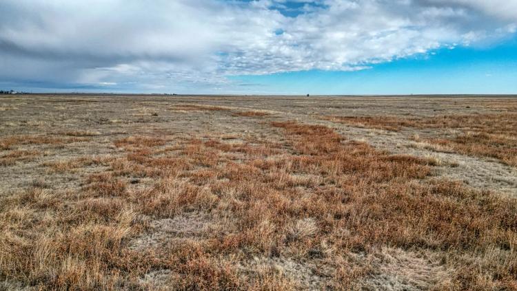 600 Acre Farm - CRP - For Sale