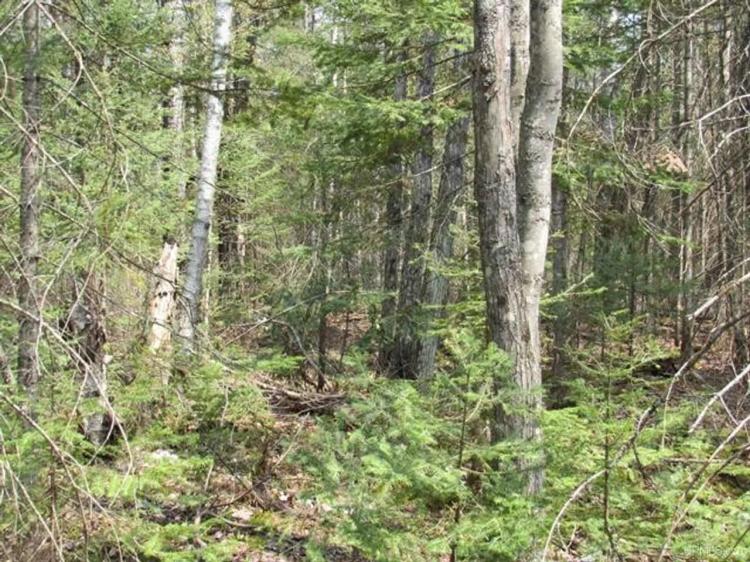 60 Acre Recreational Parcel 50157048