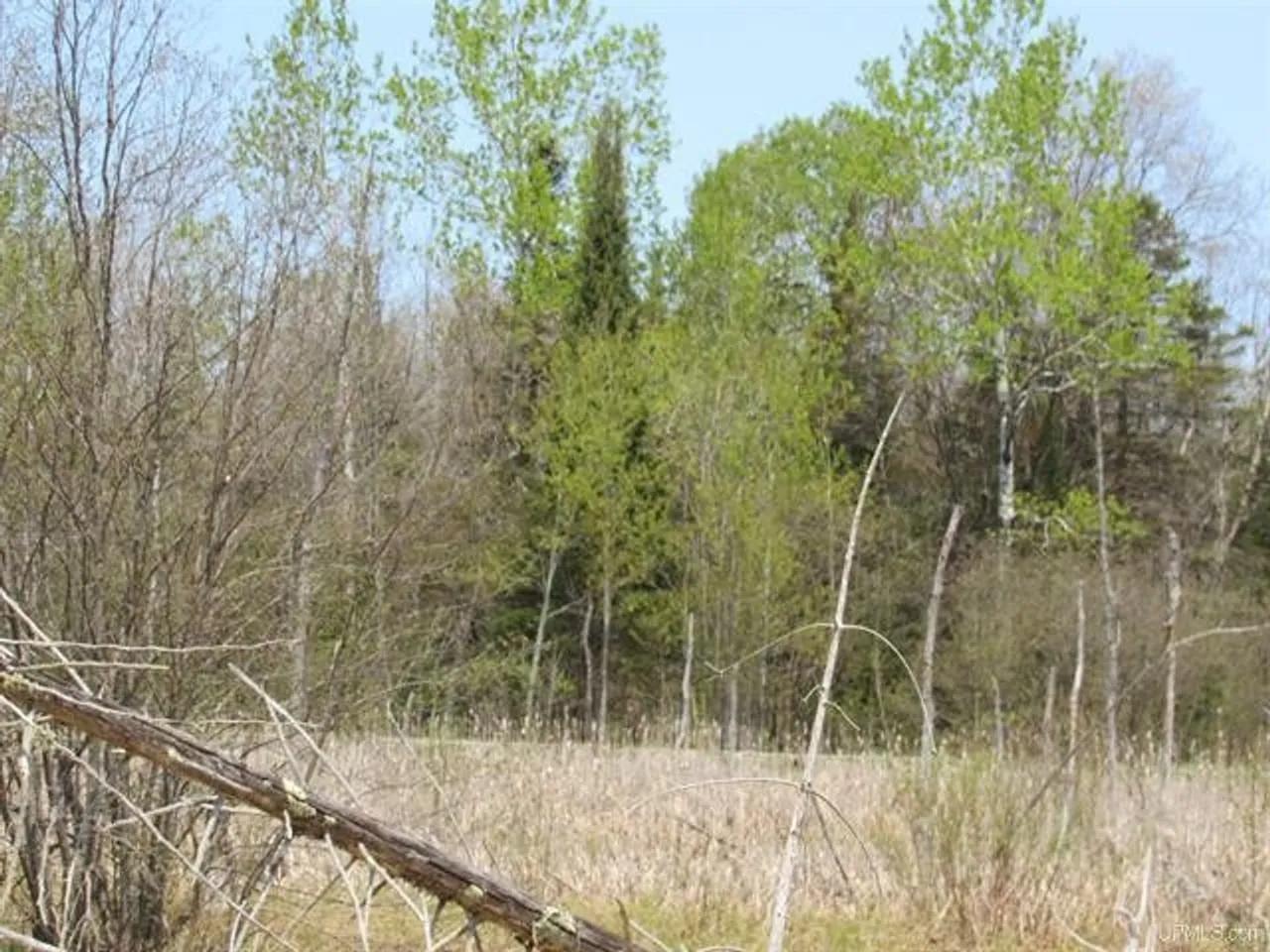 39116260-12