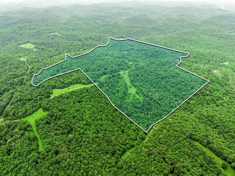 138.32 surveyed acres at the end of Patch Lane located in Macon County, TN