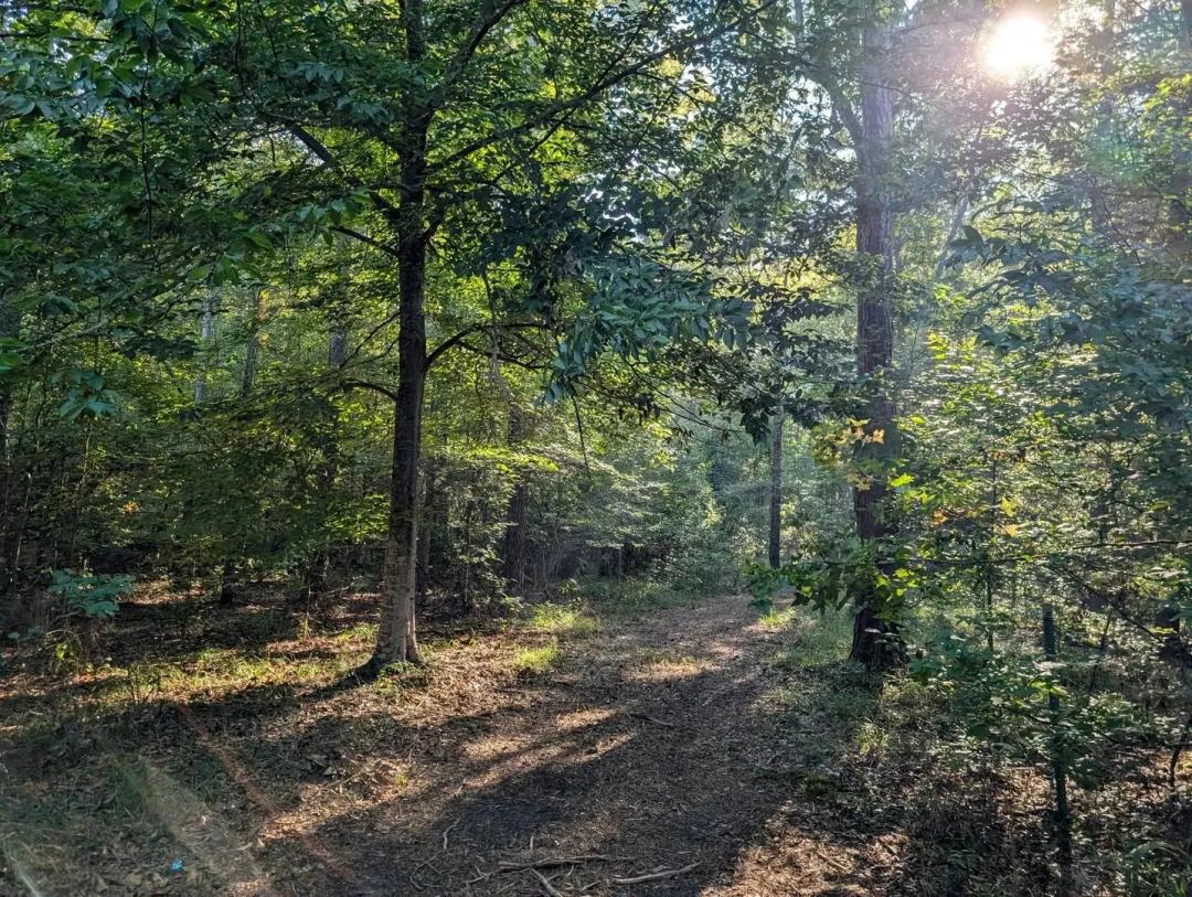 12.5+- ACRE PIKE ROAD ESTATE LOT (Price Adjusted!)