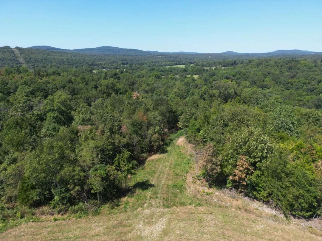 131 Acres in Adair County, OK 
