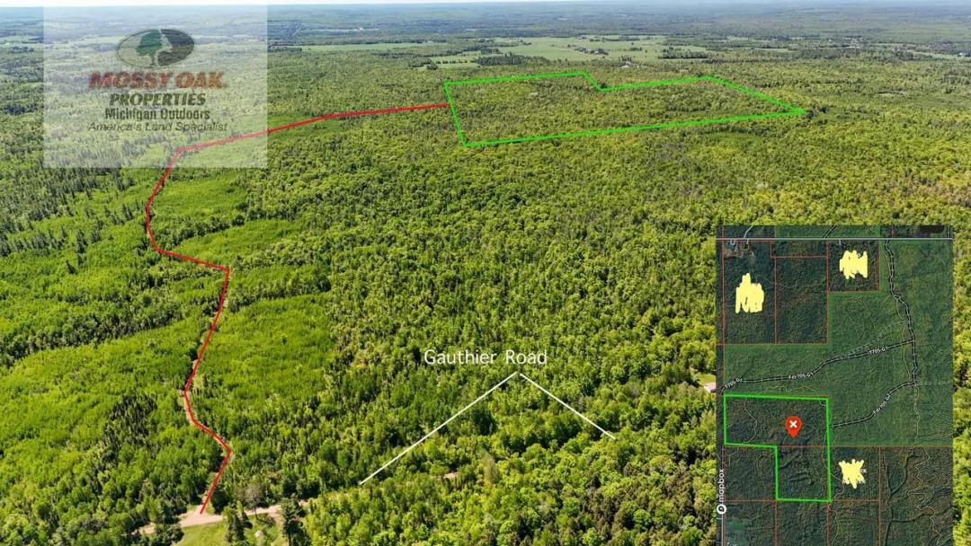 Land For Sale / Ontonagon County / Bruce Crossing, MI 123 Acres +/- / Michigan's U.P.