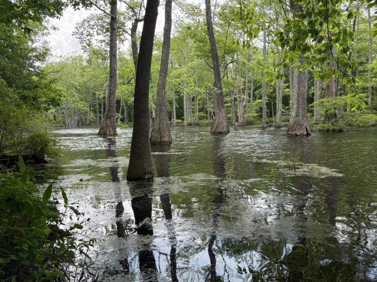 Leflore County 306: Macduff Place