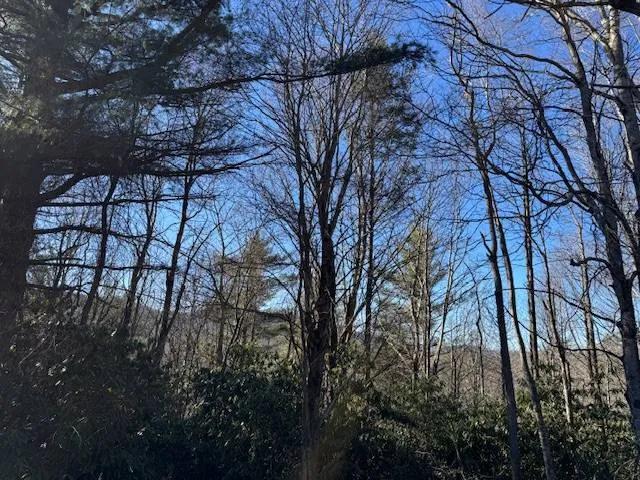 Vacant land near the Pisgah National Forest