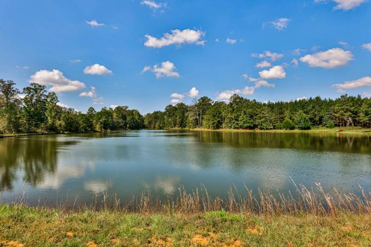 ±589.5 contiguous acres of recreational and development property!