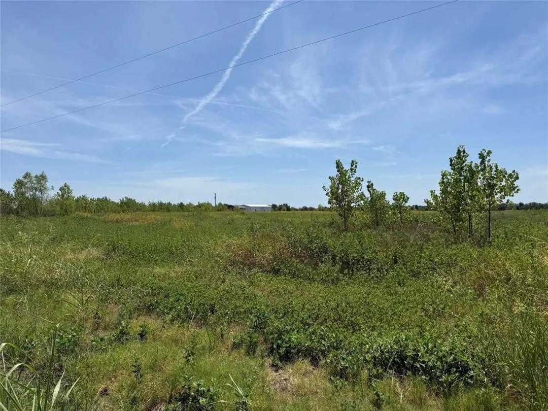 3828 Farm to Market Rd 272