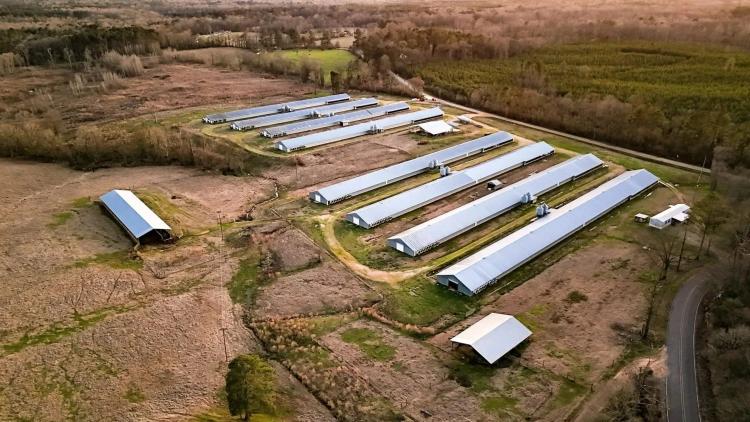 Sugar Broiler Farm – Eight House Farm in Simpson County, Mississippi
