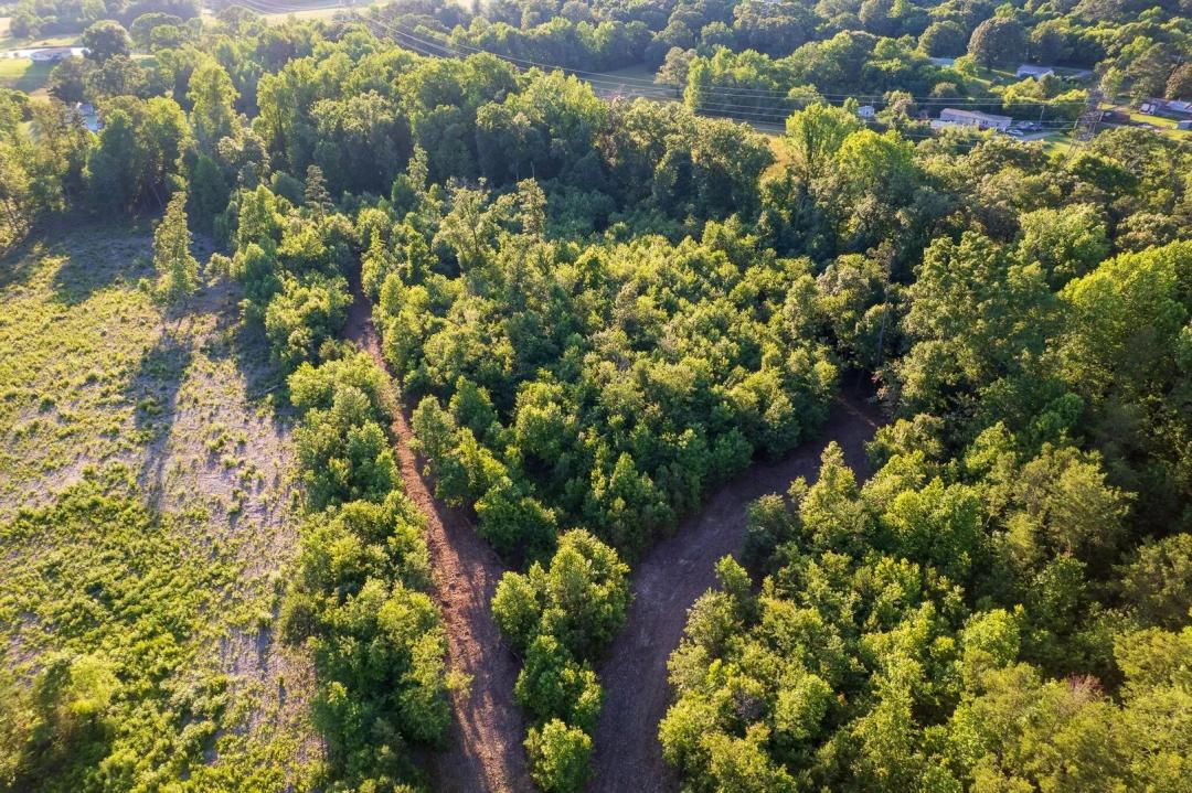 5 Acres of Land for Sale in Trenton, Georgia