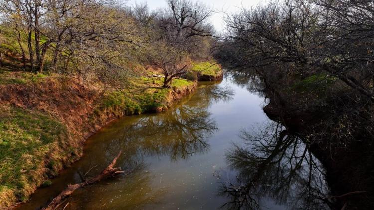 Riverbank Retreat