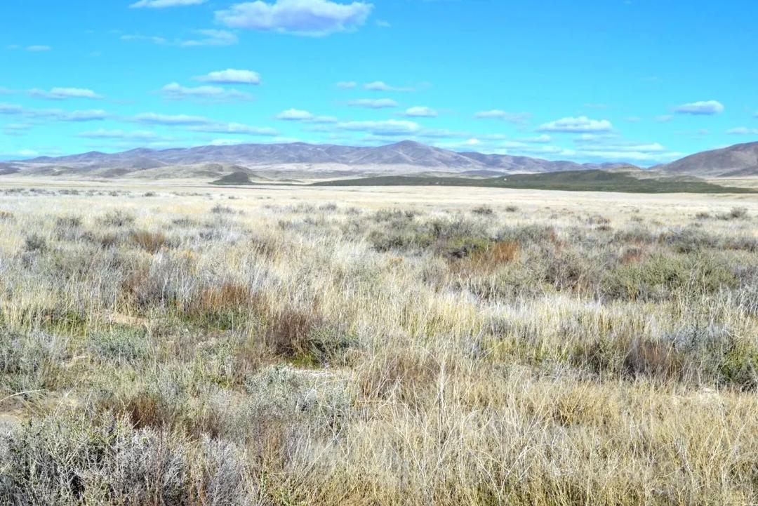 40 Acres Northeast of Crescent Valley - Borders BLM - Huge Views