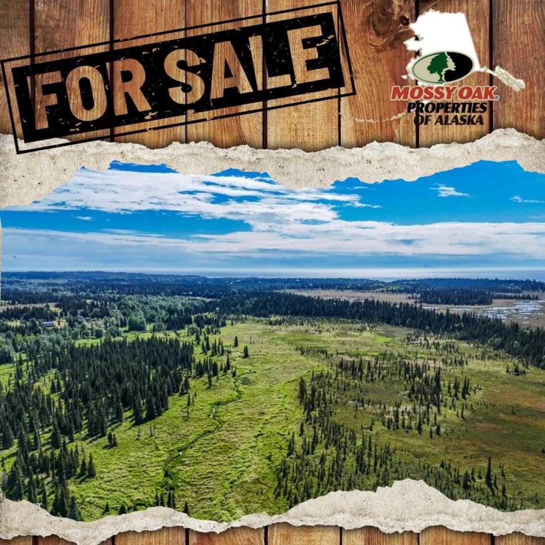 80 ac  & North Fork Anchor River Anchor Point AK