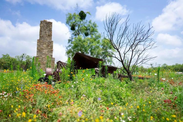 Sweetwater Oak Ranch