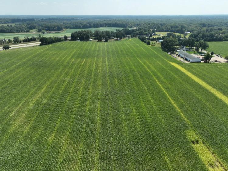 Fruit Belt 55.6 Acres+/- 8in 3phase Irrigation Well