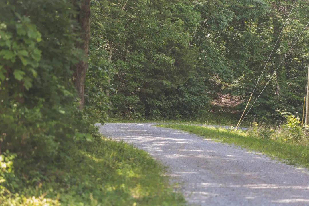 75 Acres in Van Buren County, TN 