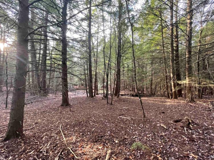 23 acres Woodlands and Recreational Land in Ellenville NY Camp Road