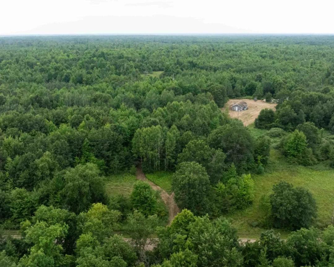 Juneau County WI 80 Acre Camp For Sale