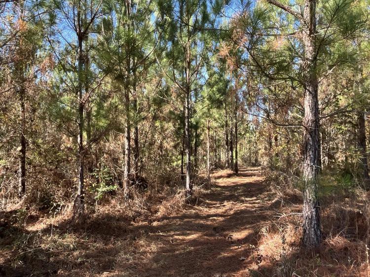 Quitman County, GA