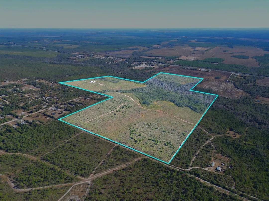202 Acres in Northwest Florida Timber, Hunting & Coastal Access