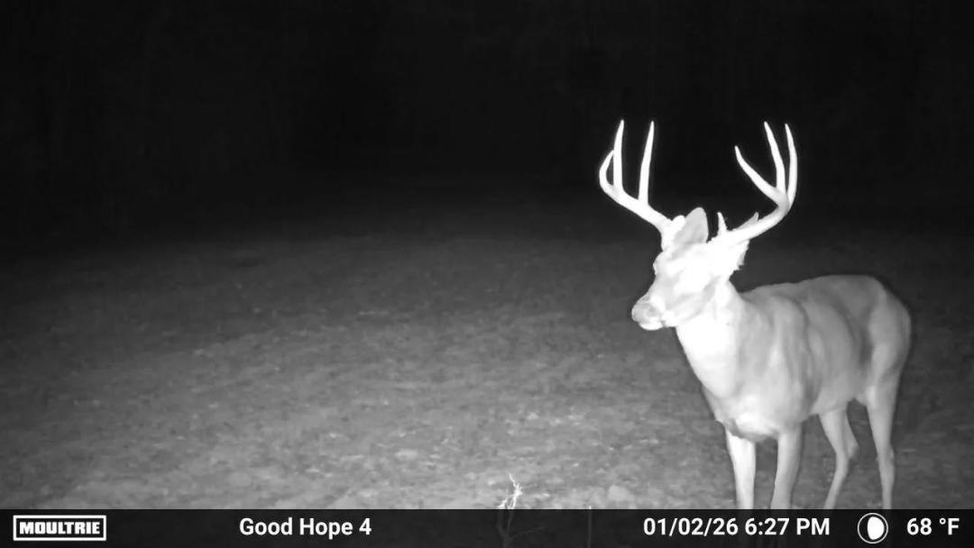 Hinds County 235