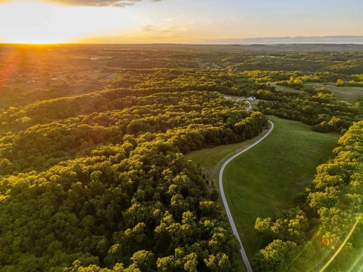43-Acre Woodland Oasis Ideal for Hunting or Dream Home For Sale - Lincoln County