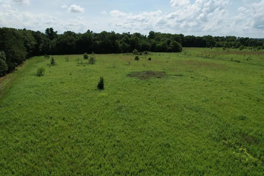 35+- ACRE TRACT WITH I-85 ROAD FRONTAGE-PRIME LOCATION AND OPPORTUNITY