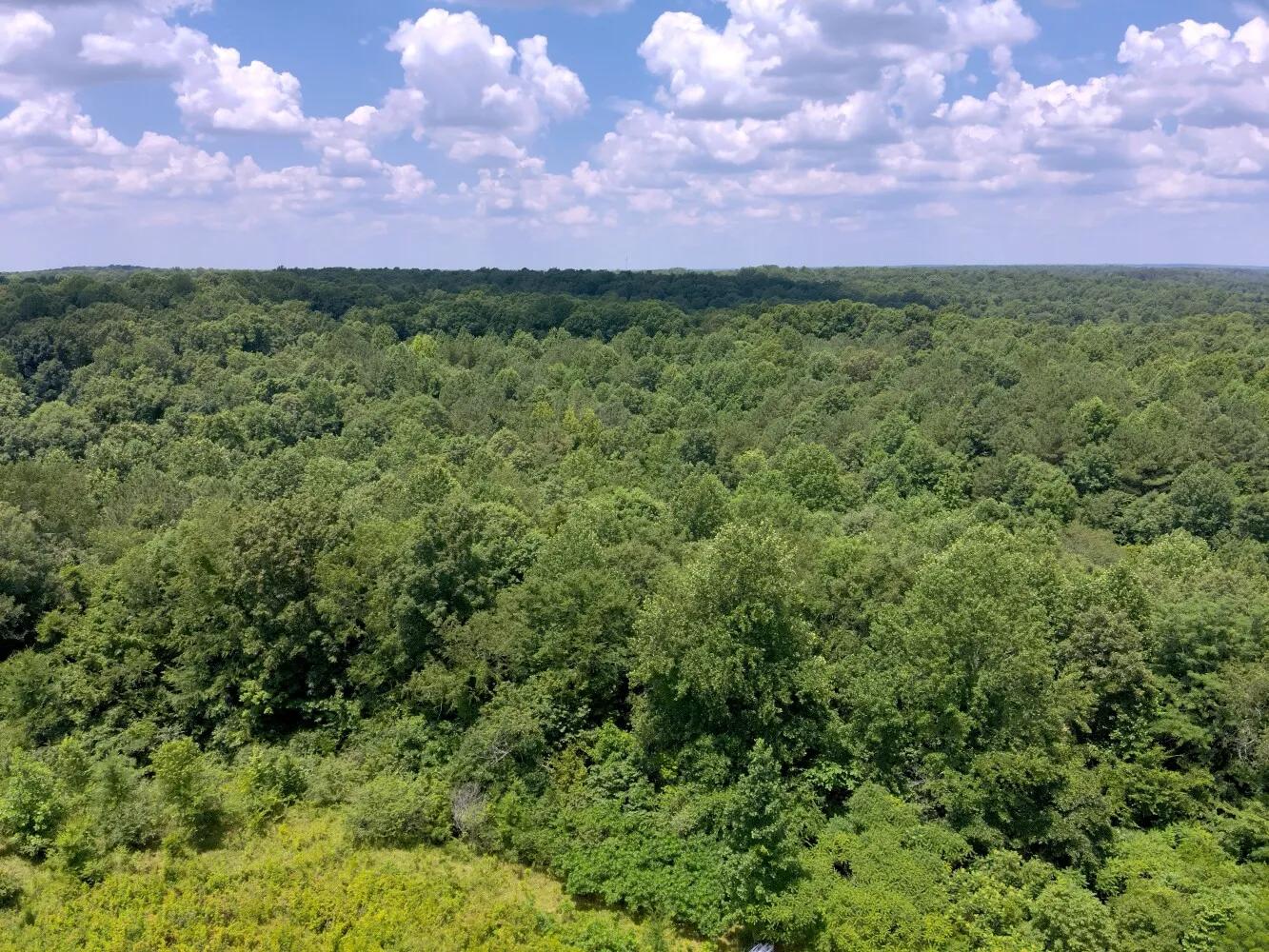 39580388-8