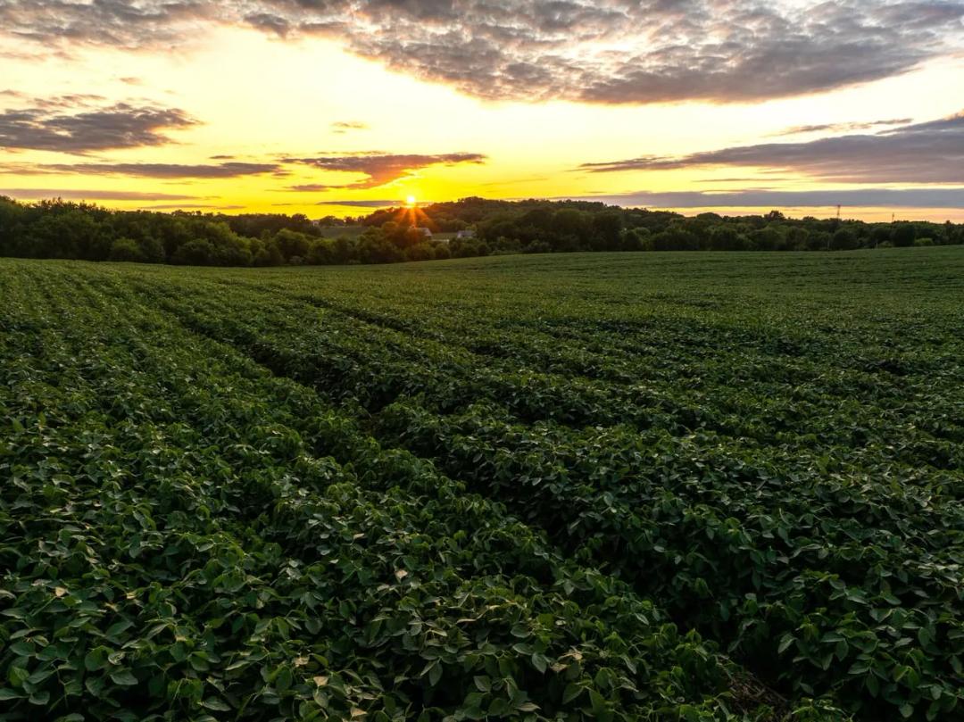 Listing #19572 - 161.60 acres in Dane County, WI