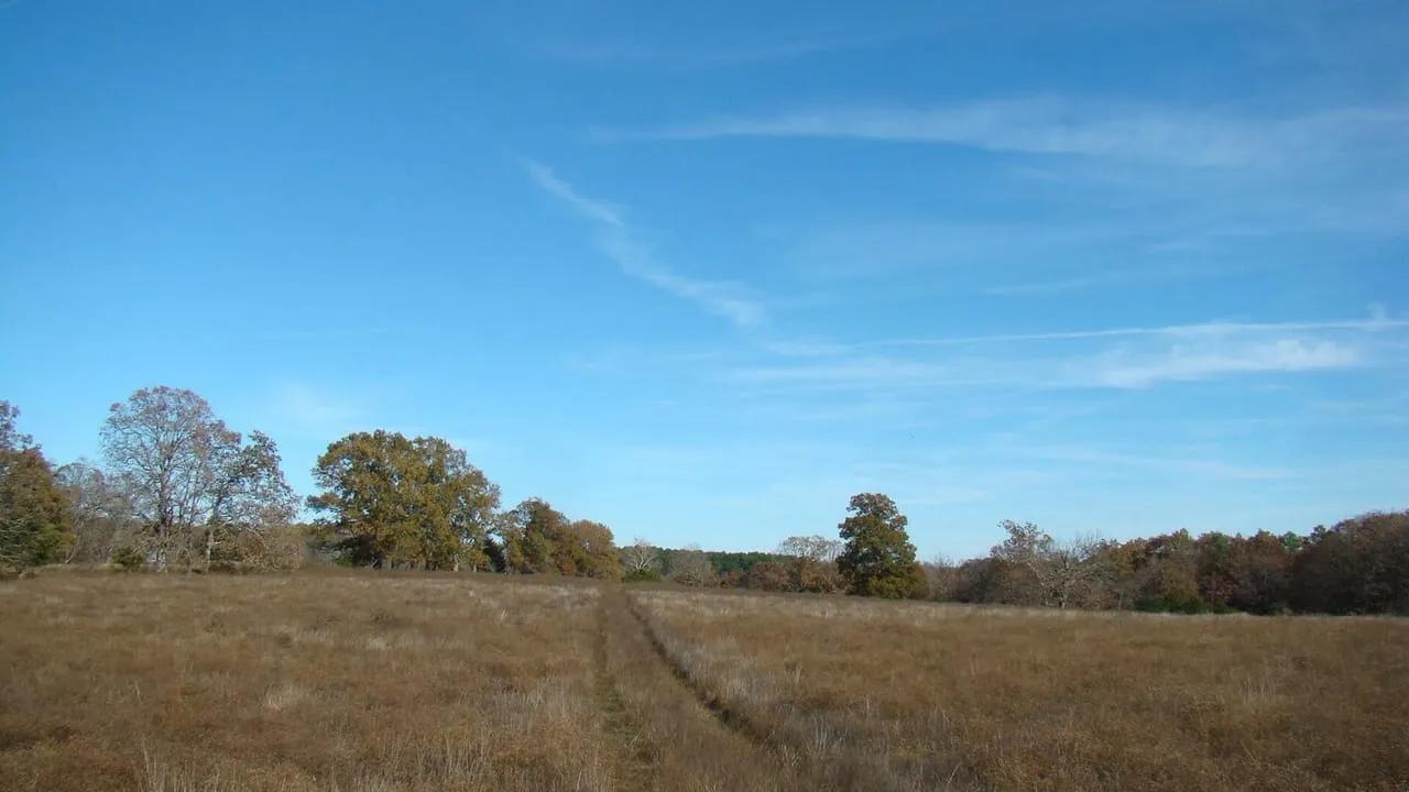 3961668-14