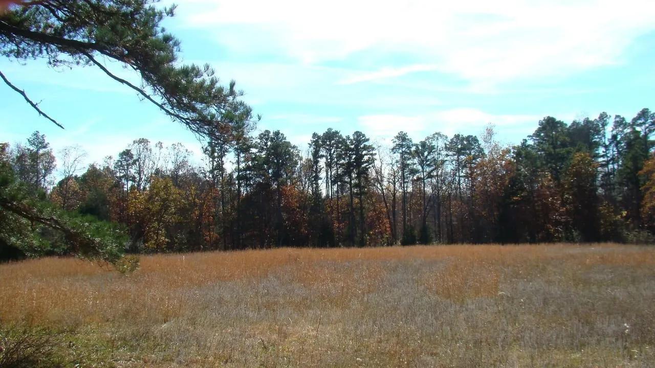 3961668-20