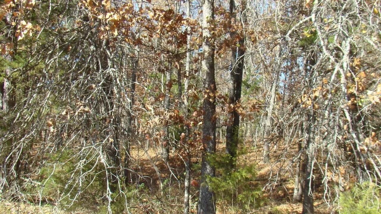 3961668-30
