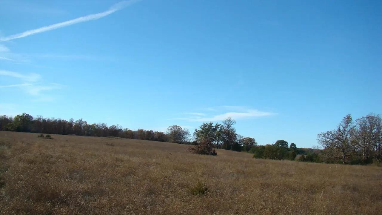 3961668-34